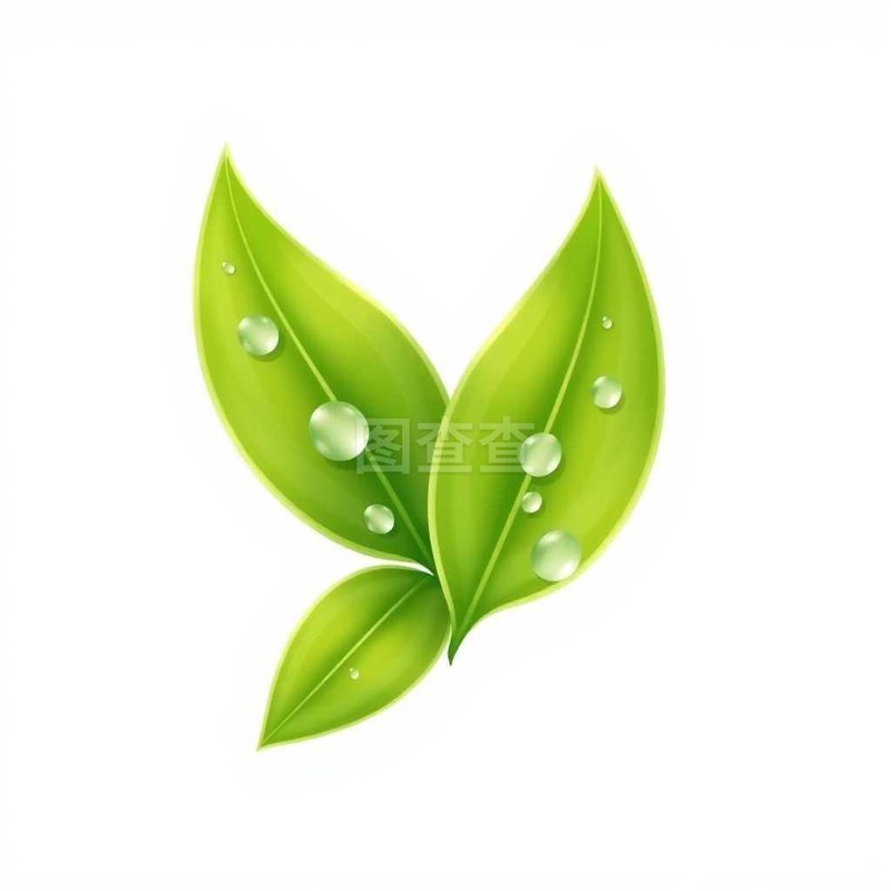 环保科技有限公司是什么行业？让我们一起深入了解！