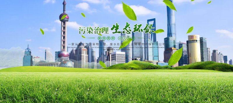 麦默医疗科技（上海）有限公司：未来医疗科技的创新者